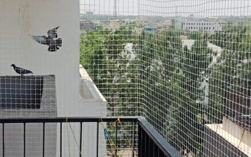 Pigeon-Nets-Installation-Service-in-Chennai
